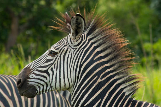 Zanzibar Spice Safari Tour